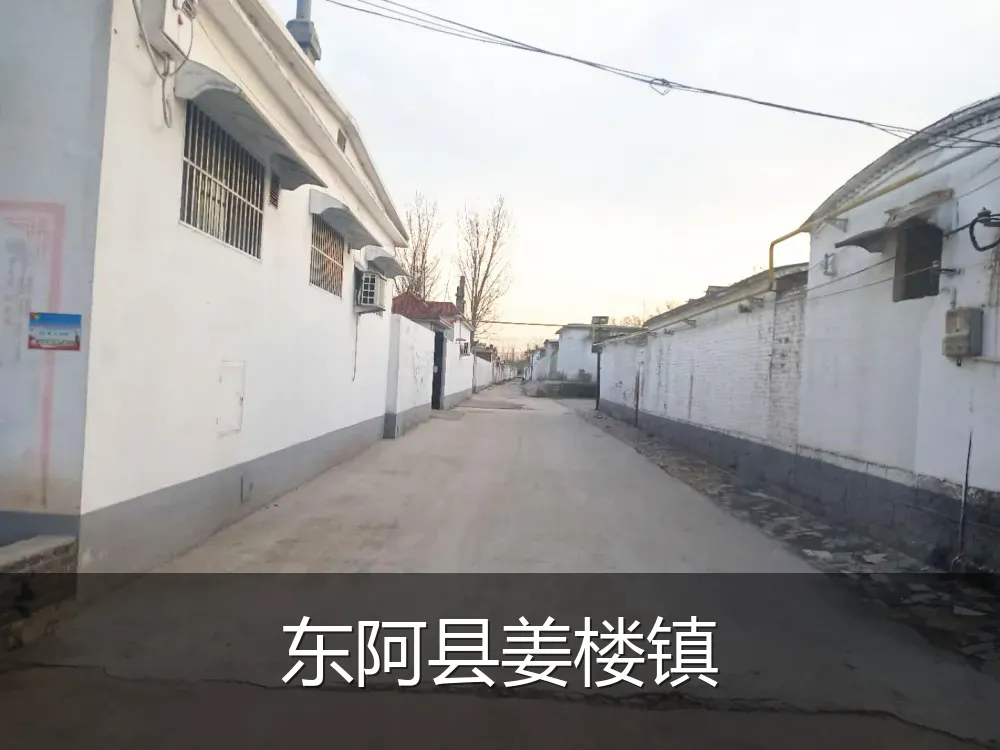 东阿县姜楼镇