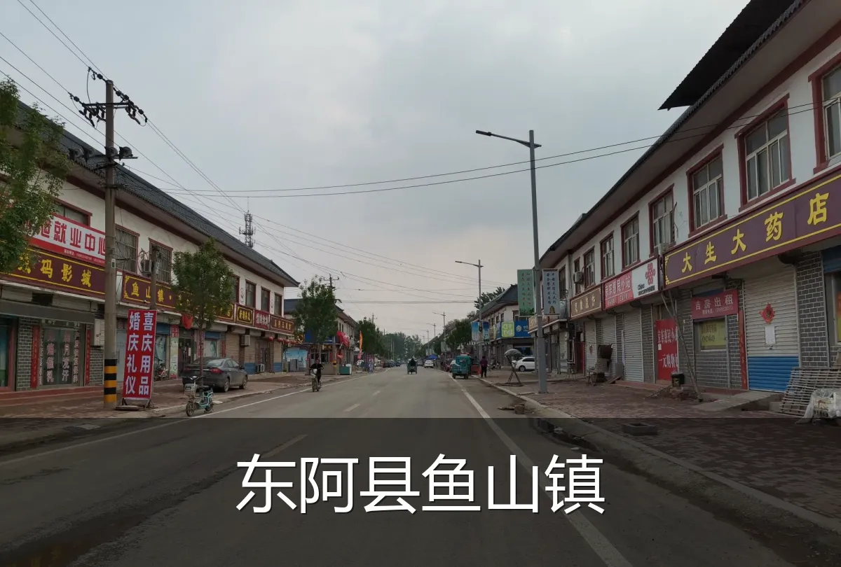 东阿县鱼山镇