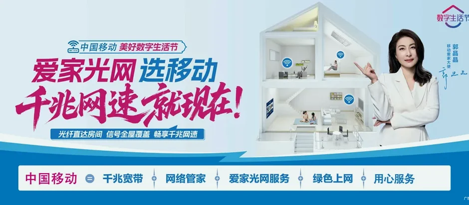 东阿县东阿县大桥镇 移动宽带